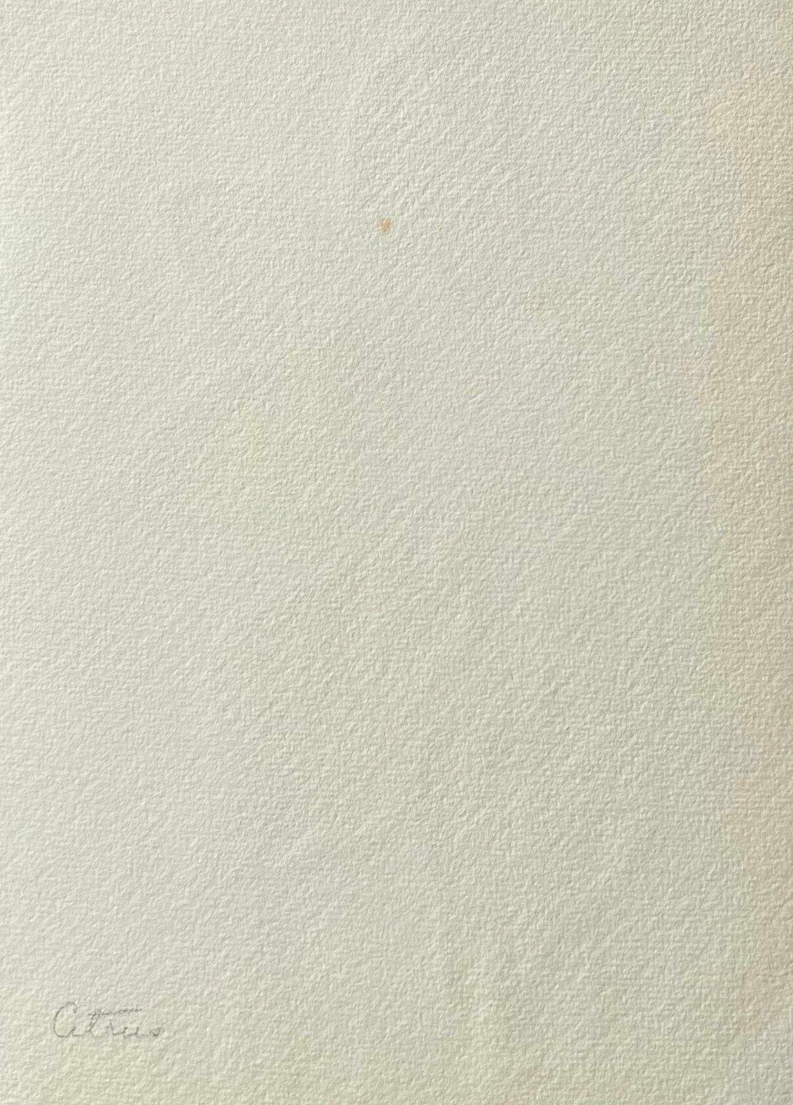 Caroline Worsleyfine Antique British Botanical Painting Orange Blossom C.1900's photo Art