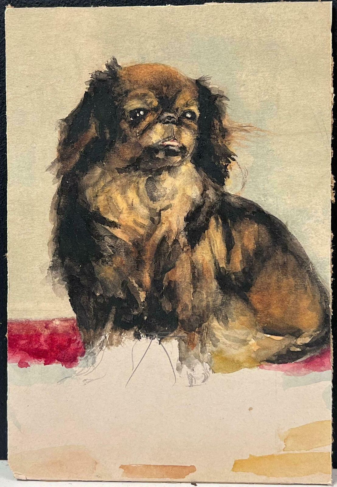 English Dog Paintingportrait Of A Pekingese Dog Charming Antique English Watercolour Painting19th Century photo furniture