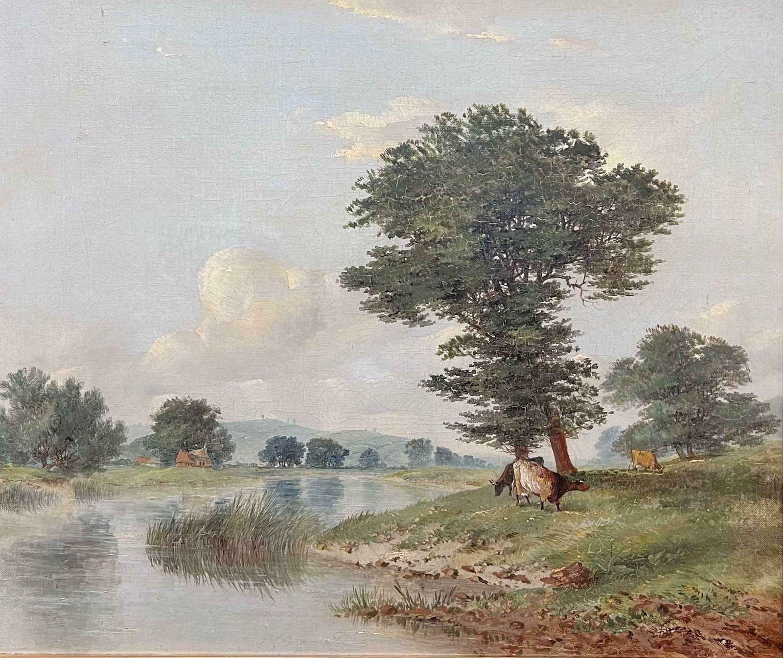 British School Tranquil Pastoral Riverbank Grazing Cows Antique 19thc Painting Nottinghamshire1853 photo furniture