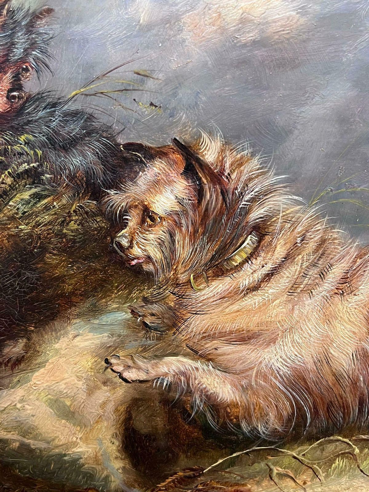 English Dog Paintingfamily Of Three Playful Terrier Dogs In Meadow Vintage English Art Oil Painting photo vinterior