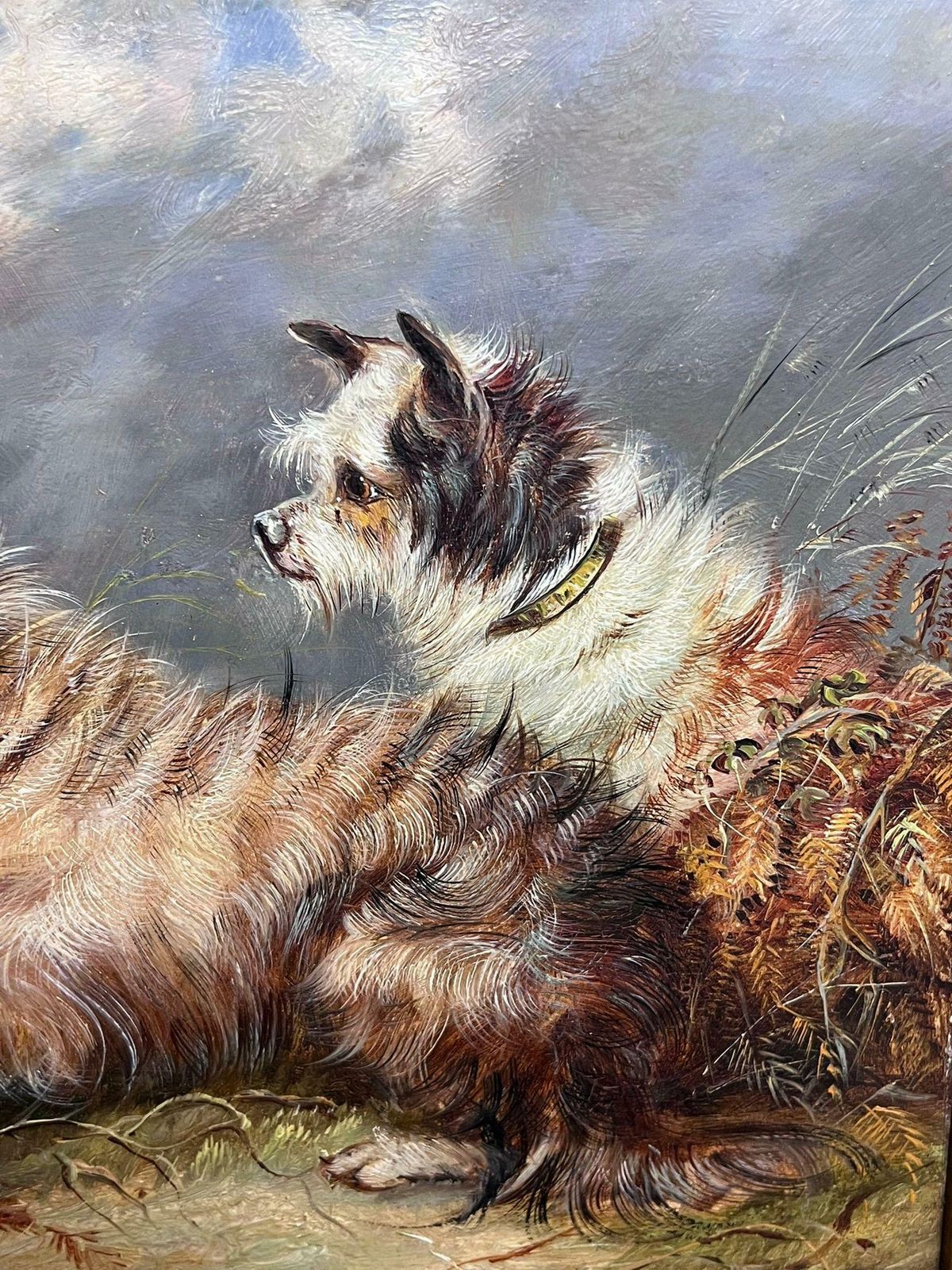 English Dog Paintingfamily Of Three Playful Terrier Dogs In Meadow Vintage English Art Oil Painting photo buy