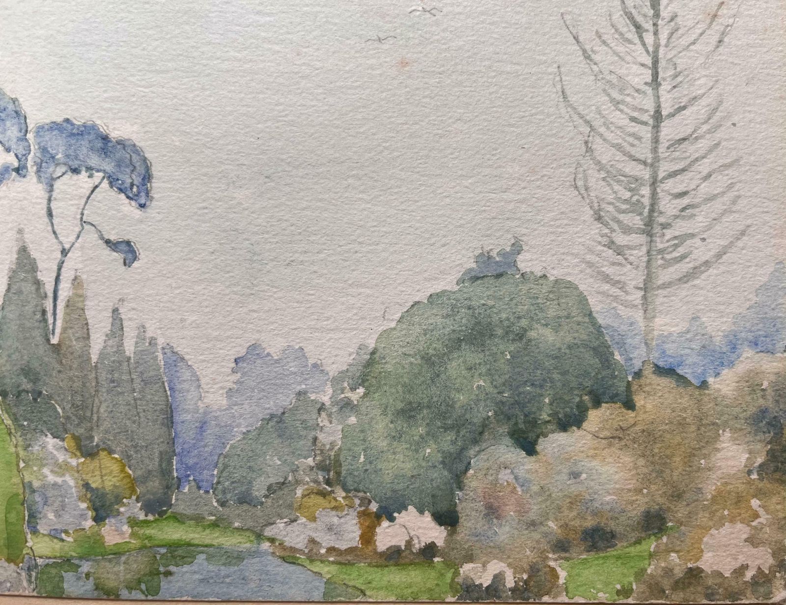 Ian G. Walker Finely Detailed British Watercolor Of A Landscape With Trees And Bushes1974 photo 275.0