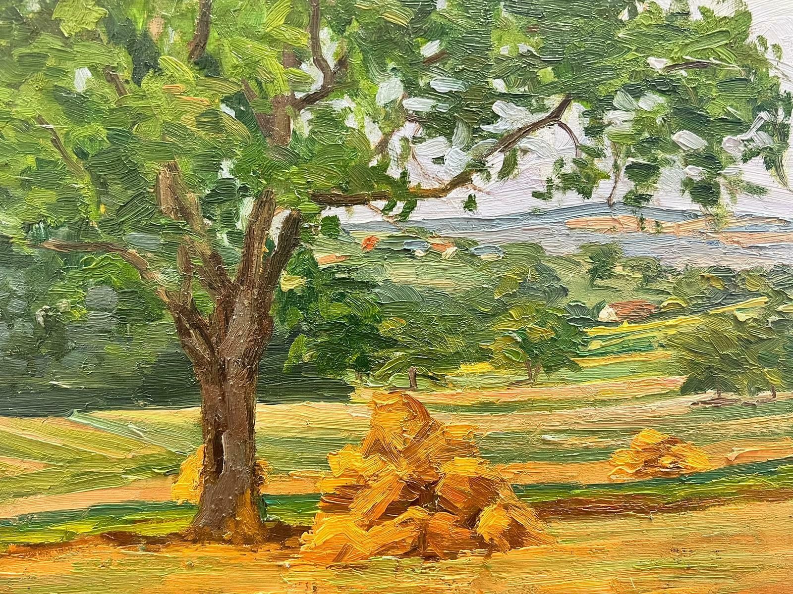 Suzanne Crochet1930's French Post Impressionist Oil Painting Haystack Under Tree Landscape C. 1930's photo 865.0