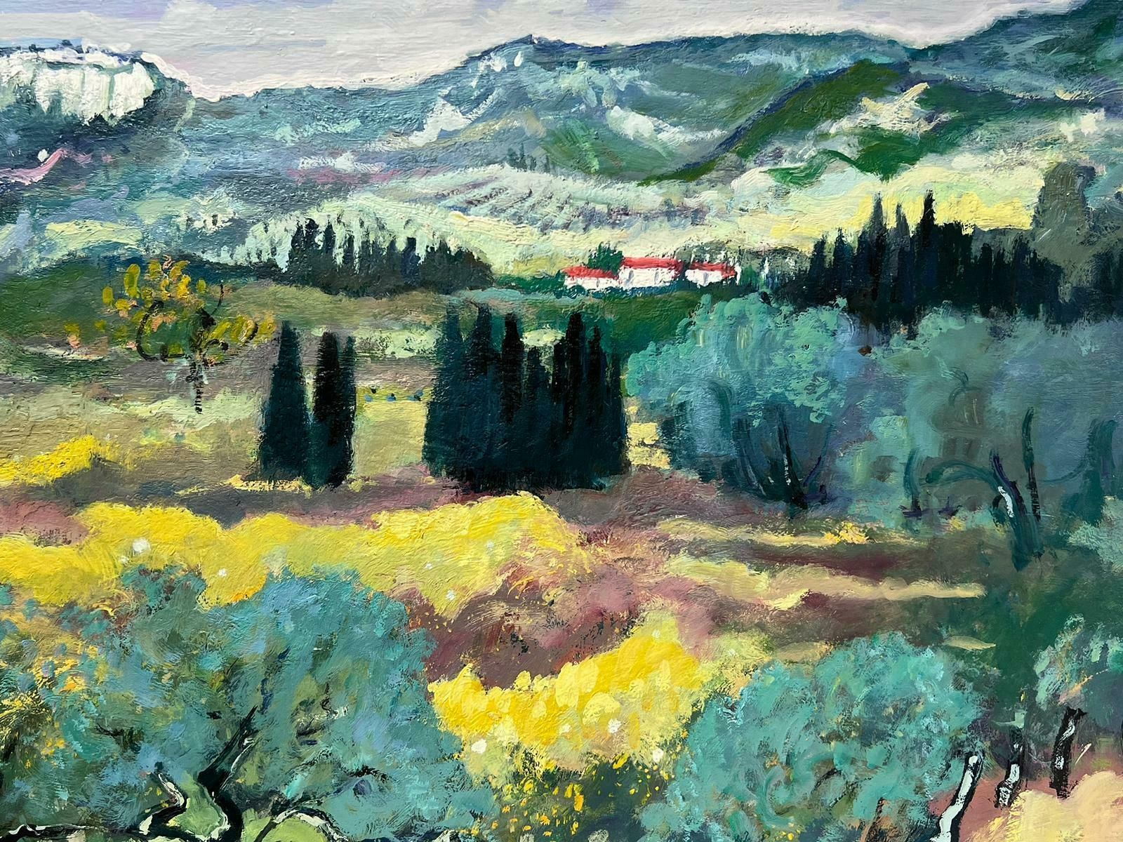 Guy Benardprovence Landscape Fine French Impressionist Signed Oil Painting Red Roof Houses photo 1629.0