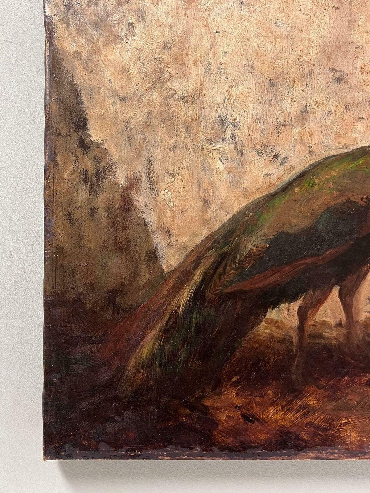 French Schoolfine 19th Century French Oil Painting Peacock & Cockerill Chickens In Yard photo Art