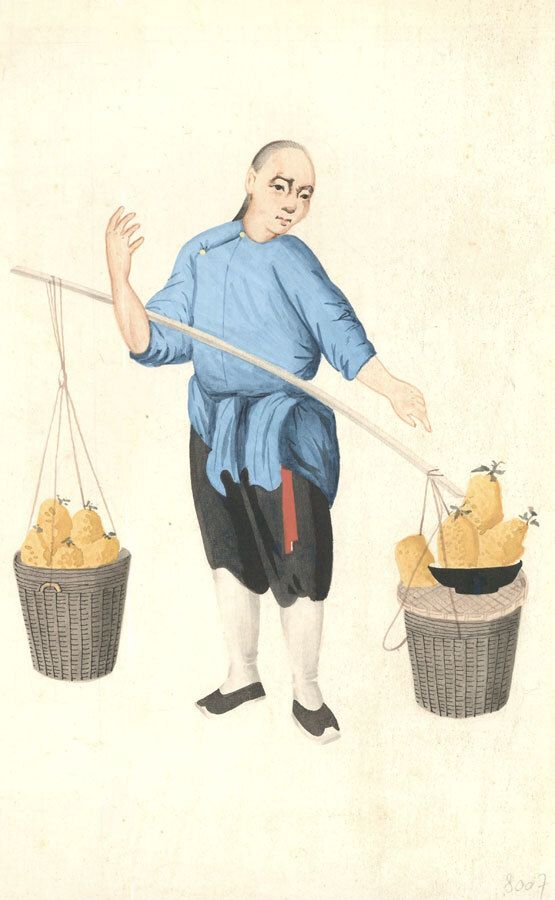 Early 20th Century Watercolour Jackfruit Farmer photo furniture