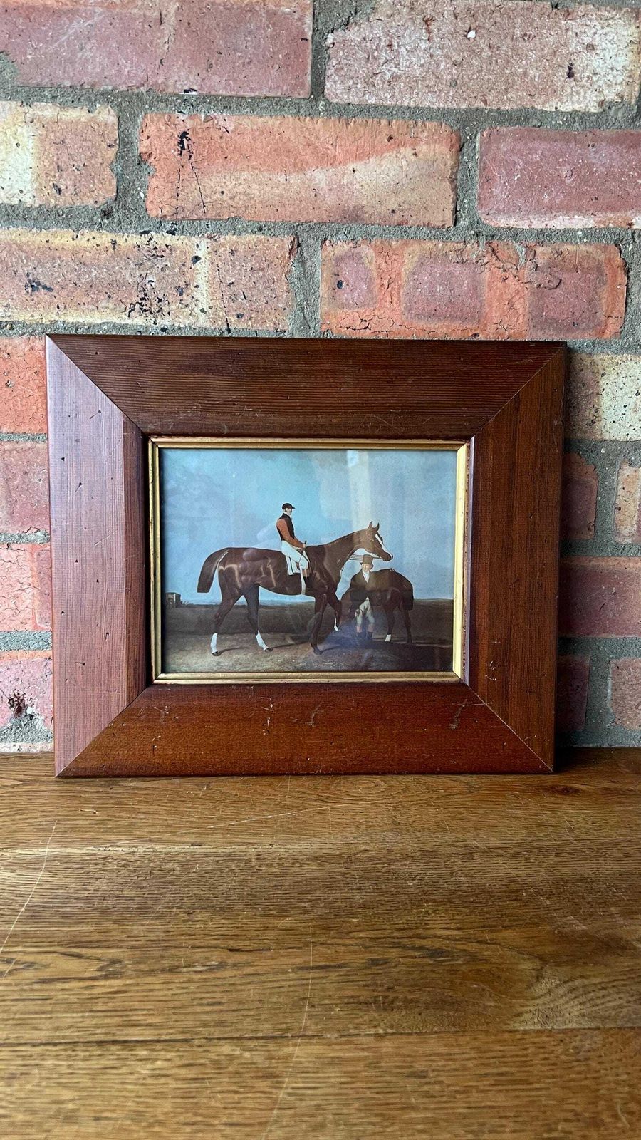 Elis   Equestrian 1900’s Picture After 1833 Painting Chestnut Horse By Abraham Cooper