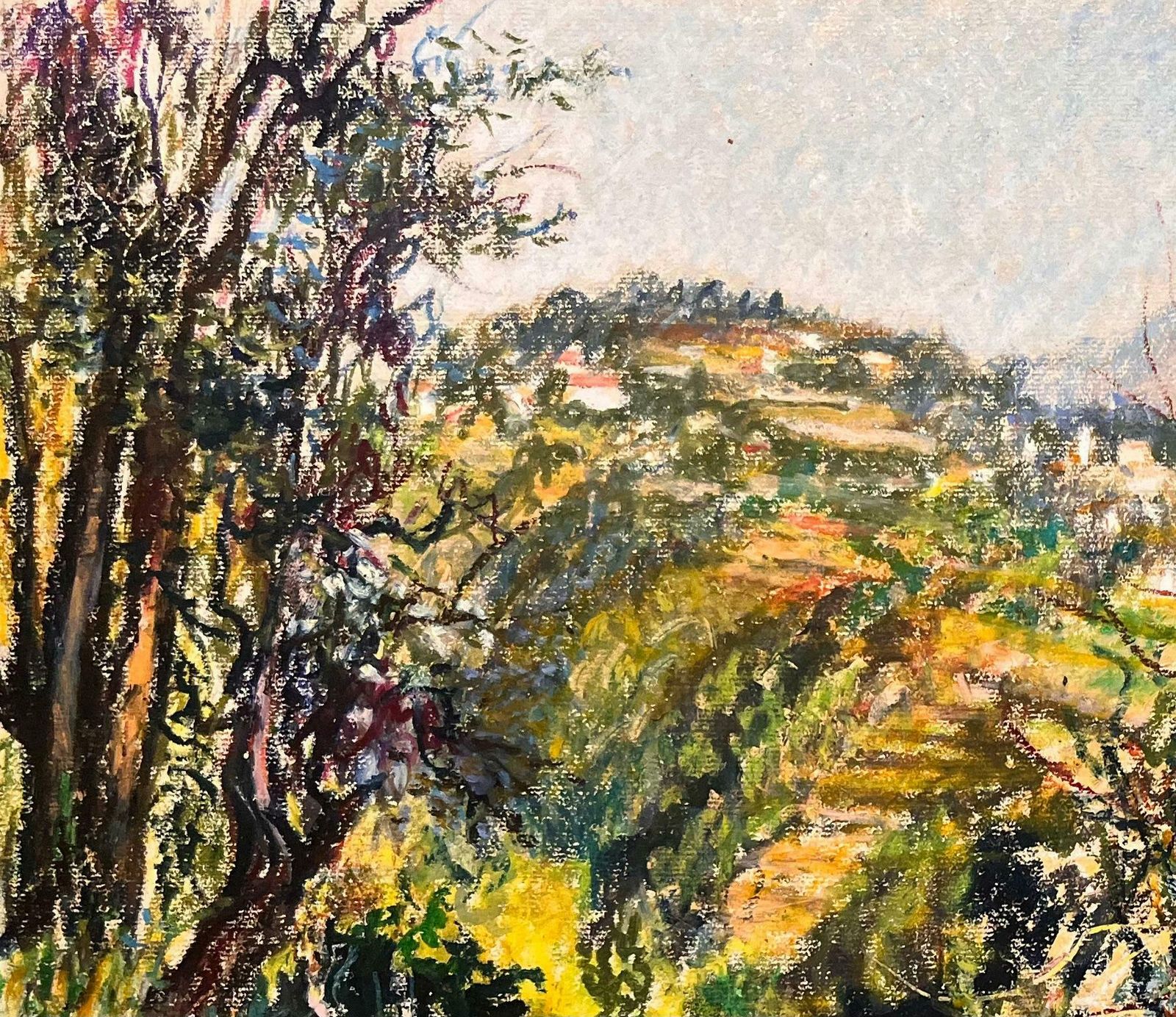 Josine Vignonmid Century French Pastel Drawing Of Mountain View With Sunlit Foliage1950's photo for sale