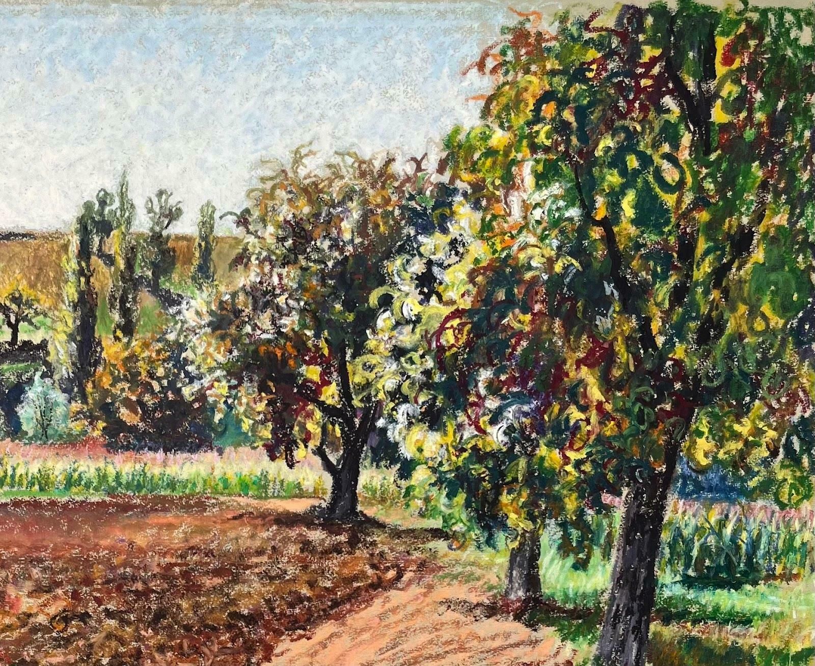 Josine Vignonmid Century French Original Pastel Painting Of A Plowed Field And Orchard1950's photo Art