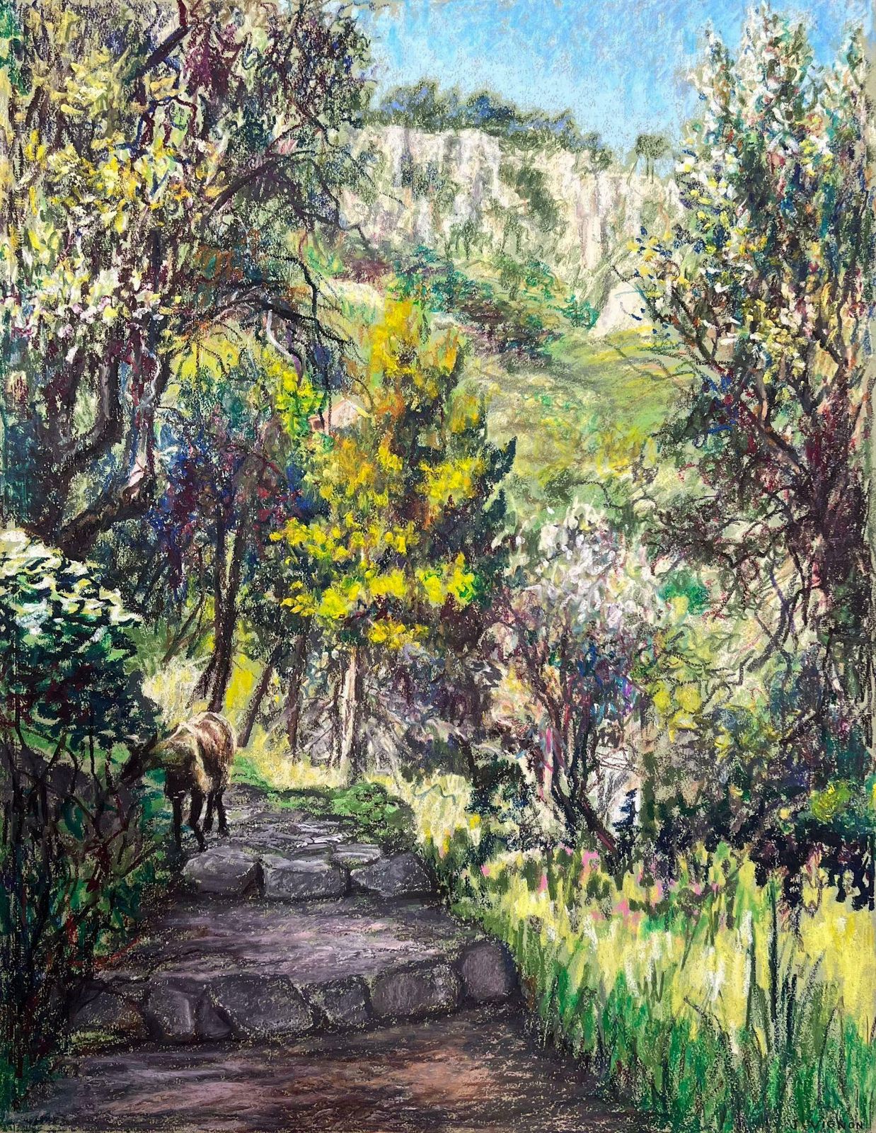 Josine Vignonmountain Goat Walking Up The Steps Below Menton, France Landscape1977