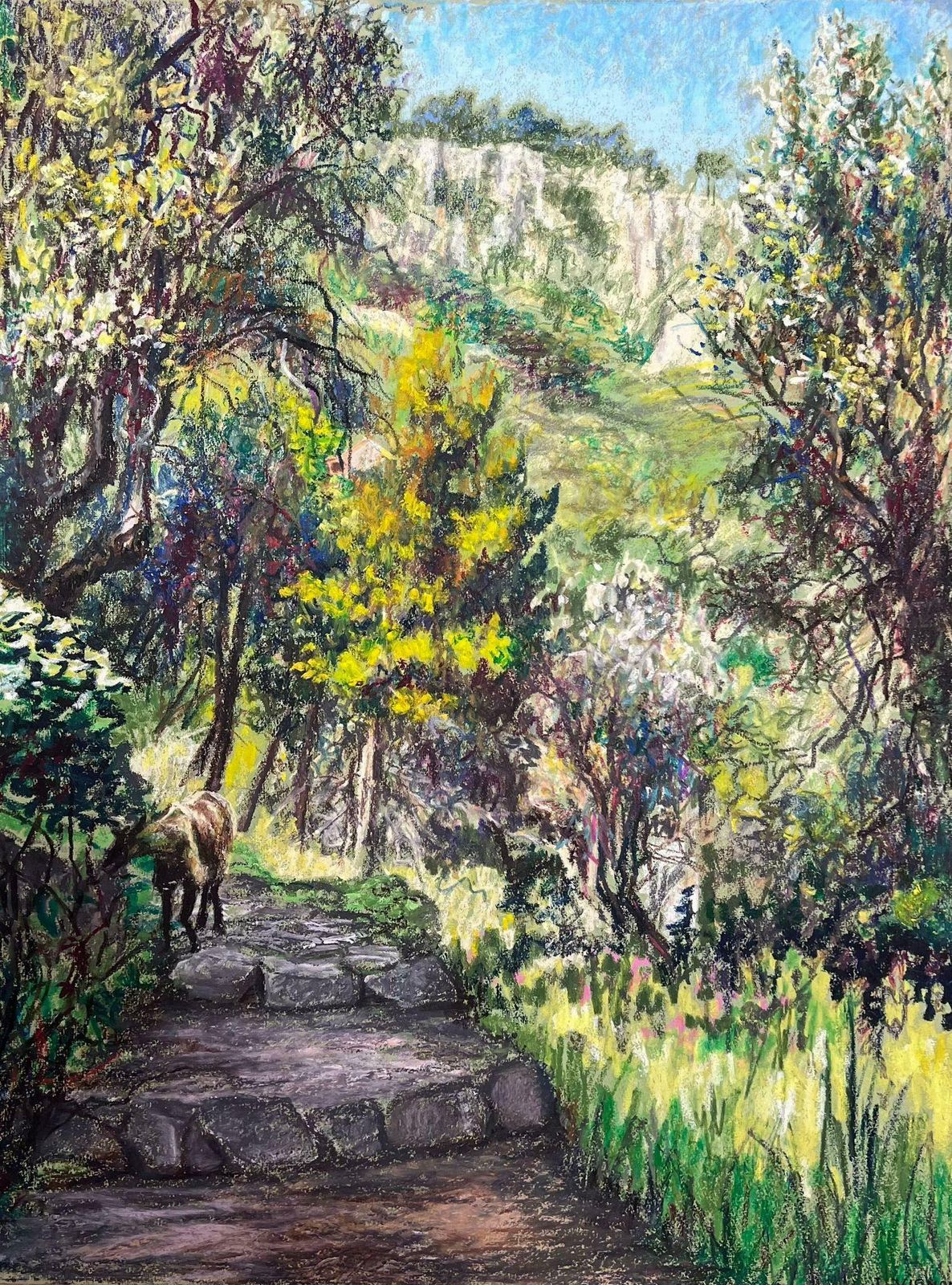 Josine Vignonmountain Goat Walking Up The Steps Below Menton, France Landscape1977 photo furniture