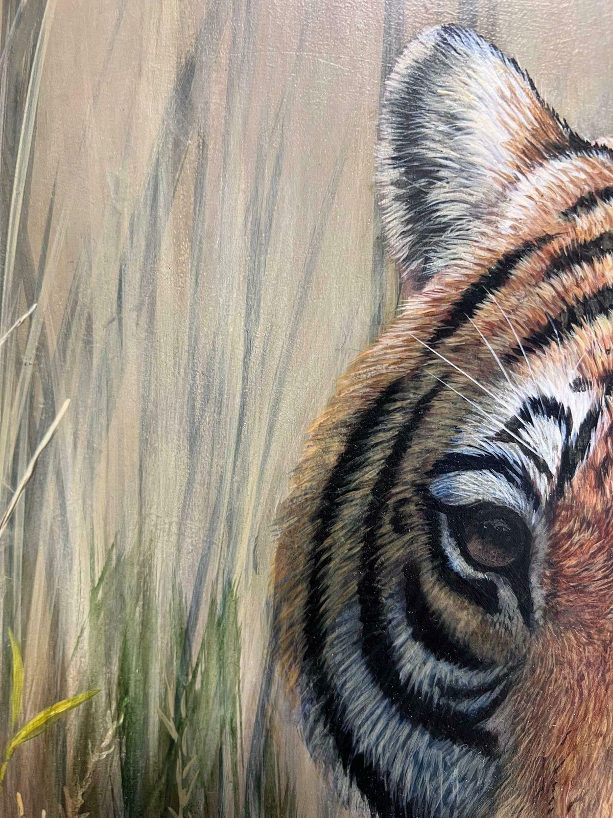 1535.0 British School Majestic Tiger Tall Grass Realistic Wildlife British Oil Painting Ornate Frame photo