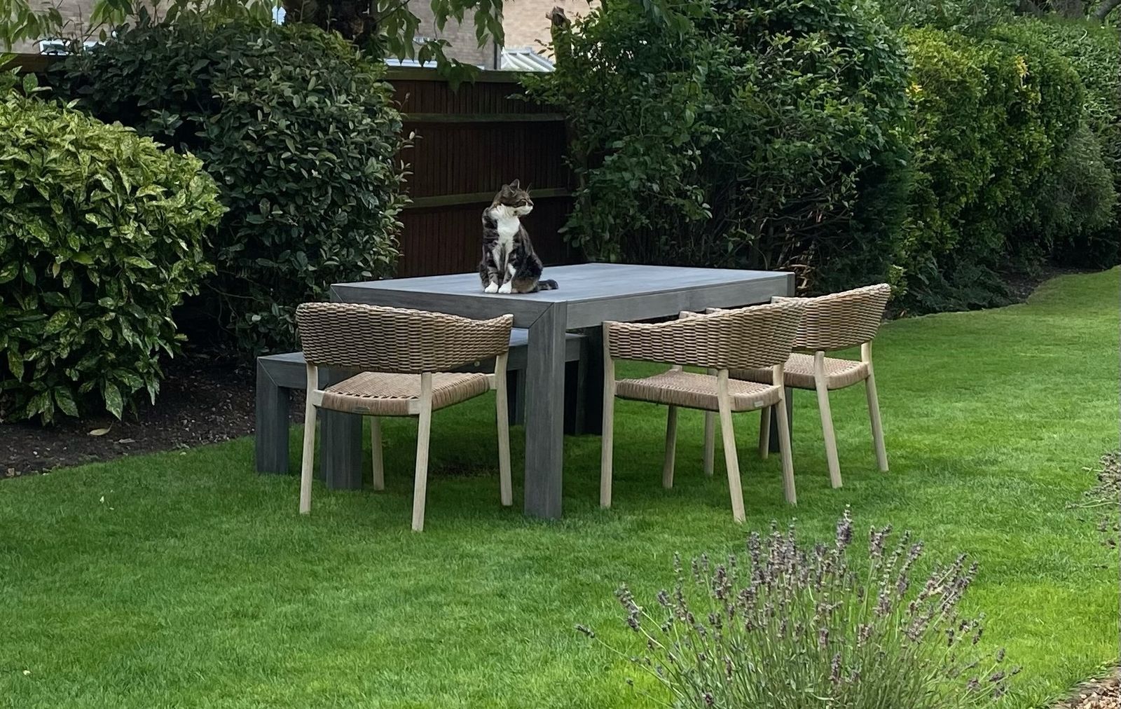 Outdoor Dining Set With Wooden Table And Wicker Chairs photo for sale