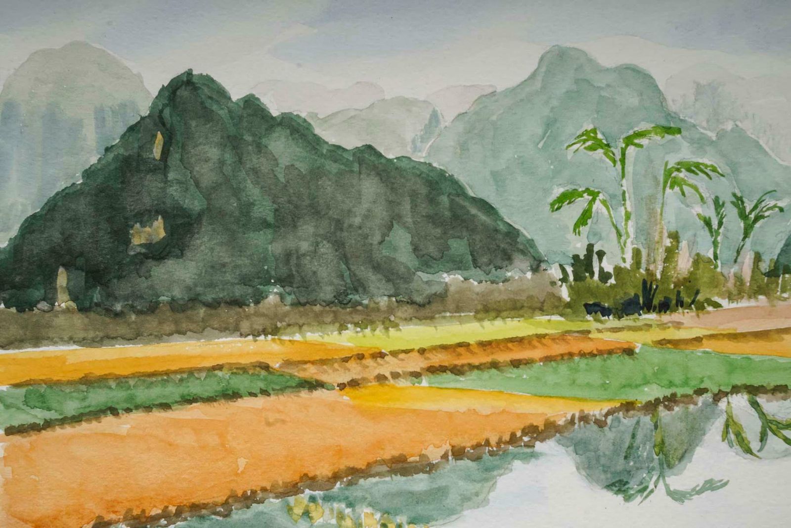 Watercolour Of A Rice Plantation In An Asian Landscape, 20th Century. photo furniture