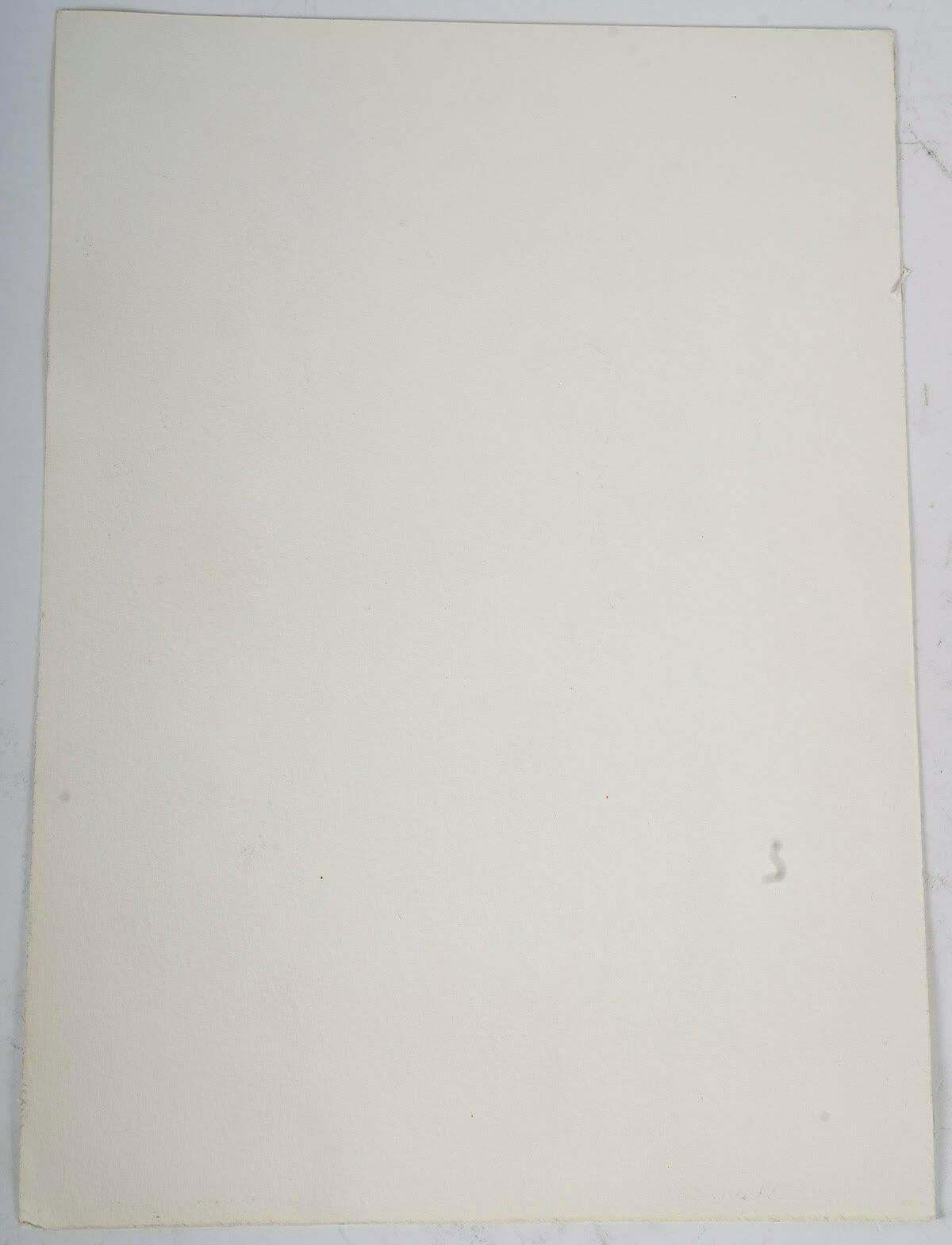 Watercolour In The Asian Style, 20th Century. photo vinterior