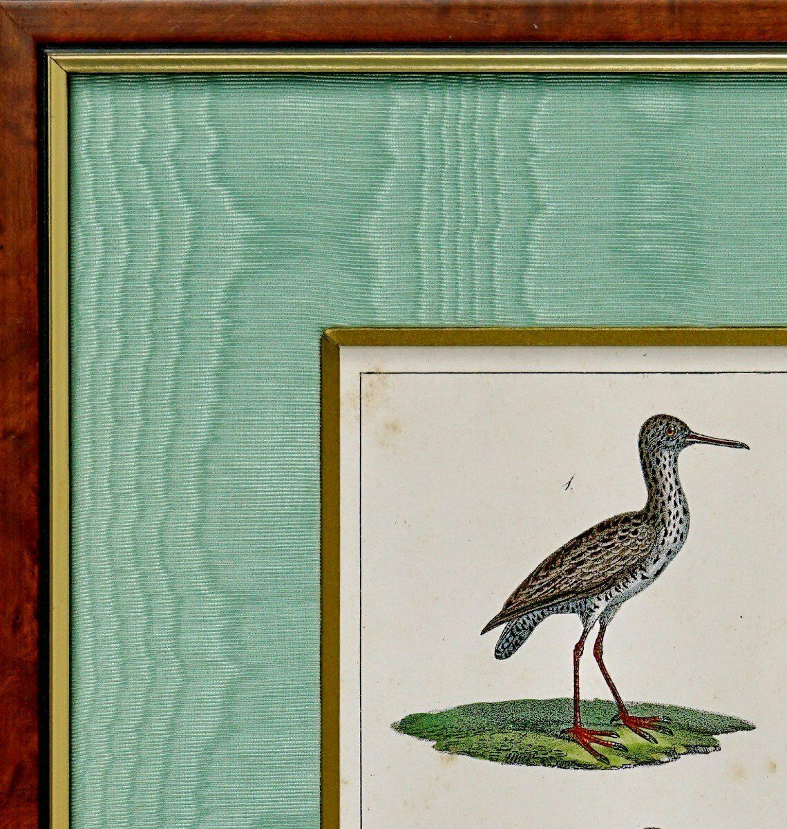 Bird Engraving   The Red Footed Sandpiper And The Ruffed Sandpiper   Ep. Early 19th Century photo furniture