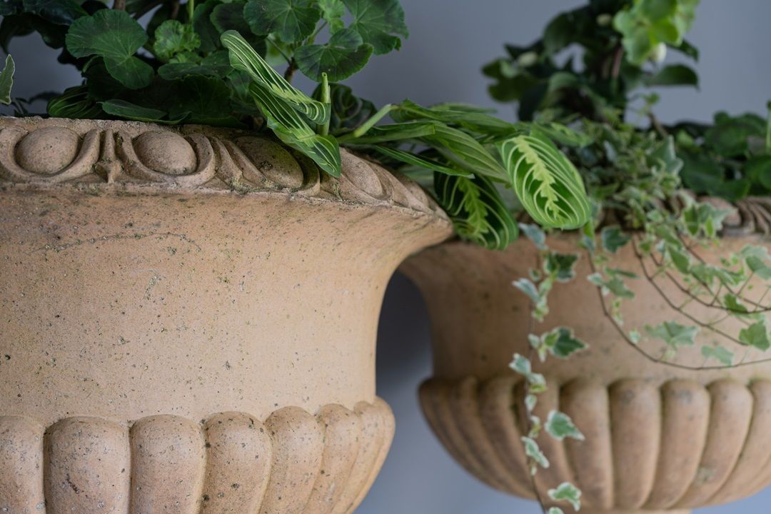 Pair Of Buff Terracotta Garden Urns photo 1560.0