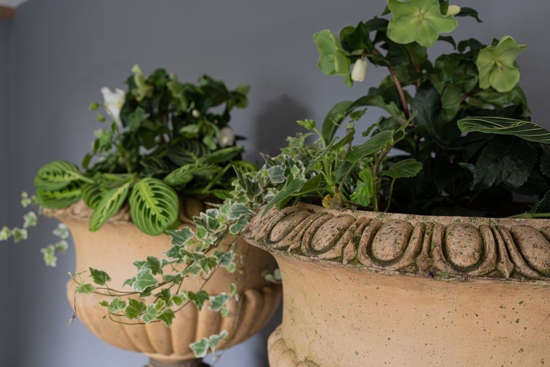 Pair Of Buff Terracotta Garden Urns photo vintage