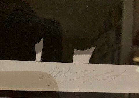 The Beatles Rare Colour Print (75/100) Framed And Signed By Allison Lefcort photo 225.0