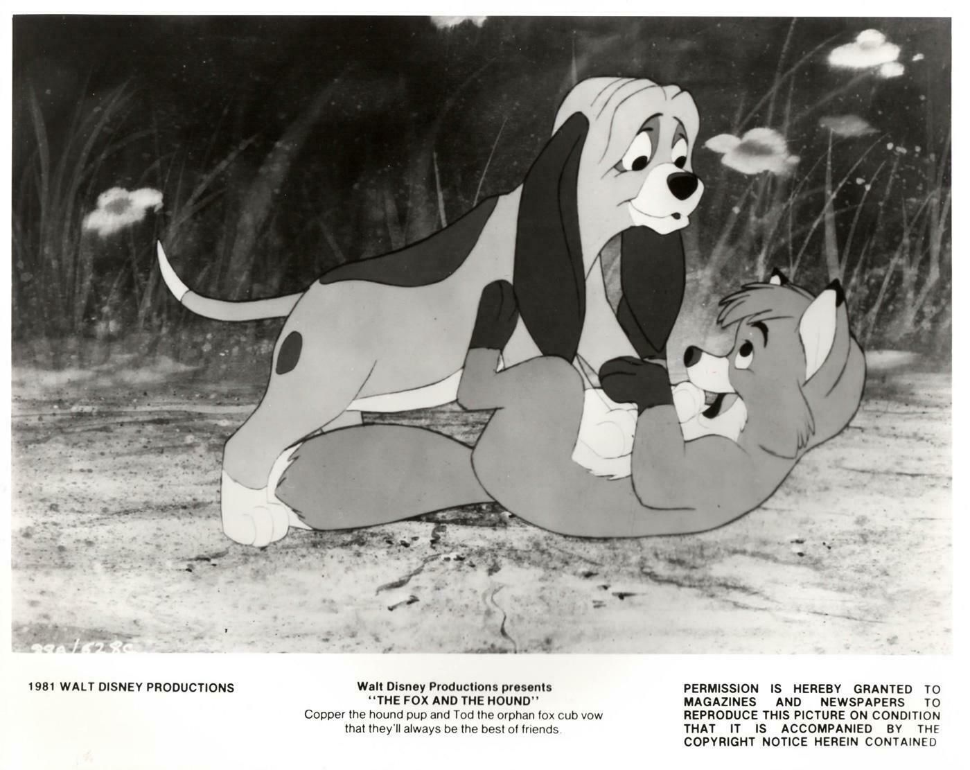 The Fox And The Hound  (1981)  Publicity Film Still  Framed photo 179.0