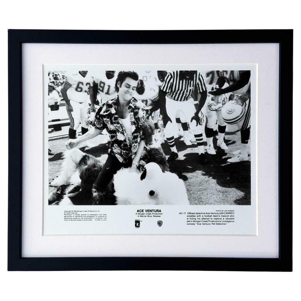 Ace Ventura  (1994)  Publicity Film Still  Framed 0    Jim Carrey