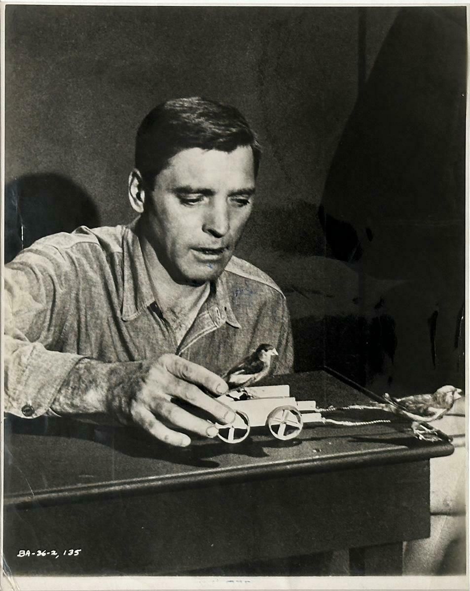 Birdman Of Alcatraz  Publicity Film Still 1962 Burt Lancaster    Framed photo for sale