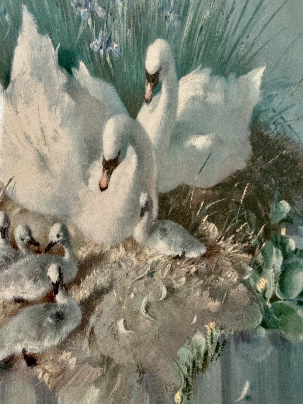 Mid Century Vernon Ward Framed & Glazed Print Swans & Cygnets “Early Days” photo buy