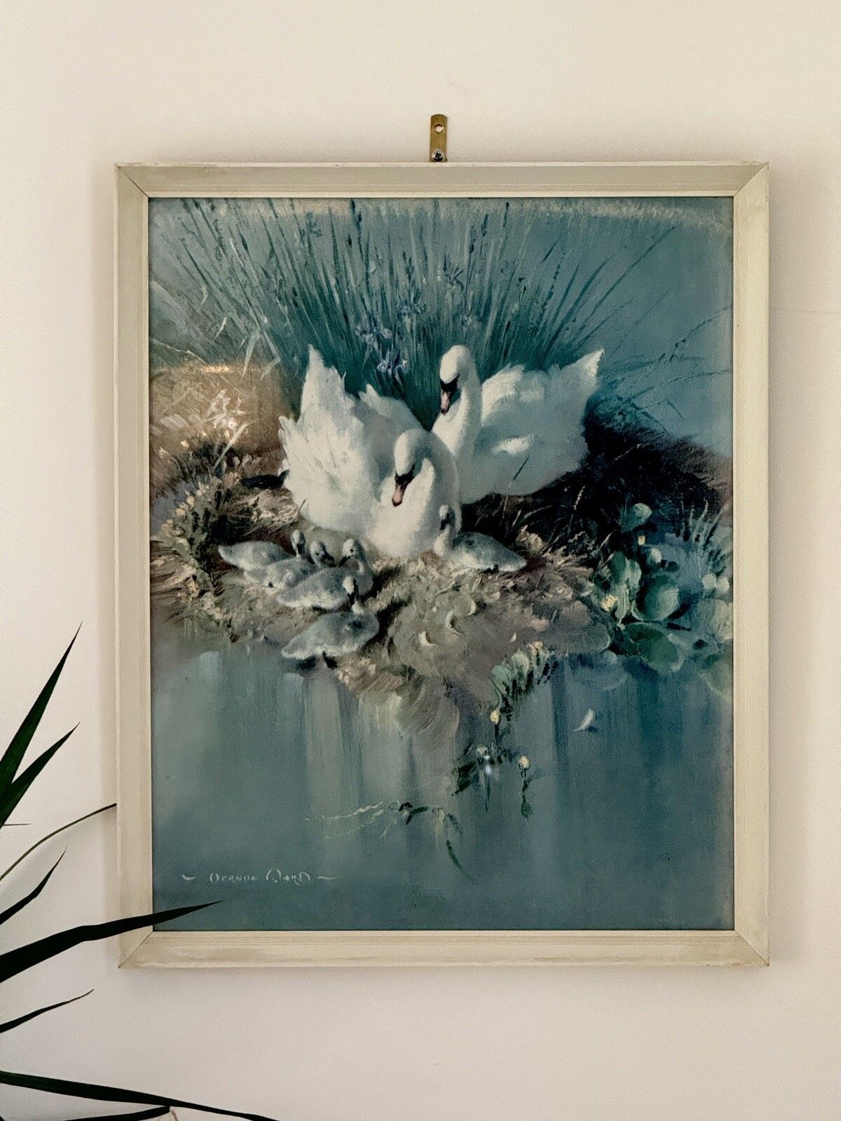 photo furniture Mid Century Vernon Ward Framed & Glazed Print Swans & Cygnets “Early Days”