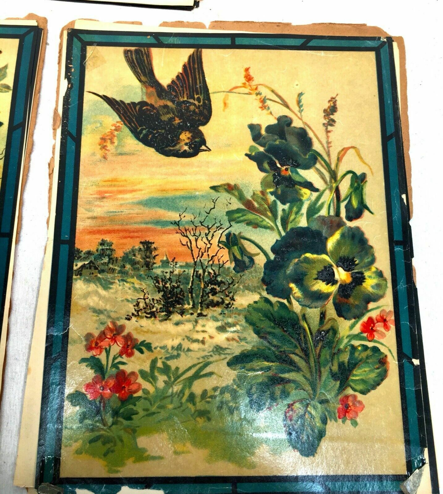 Antique Set Of 12 Victorian Crystographs For Stained Glass Decoration / Art photo vinterior