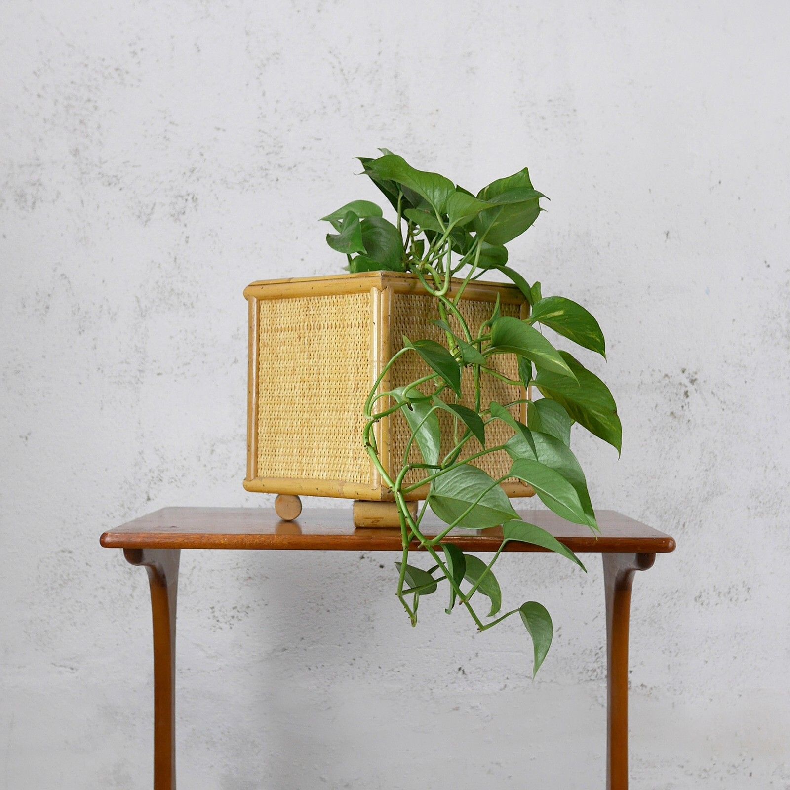Large Vintage Mid Century Bamboo Cane & Rattan Planter Plant Pot #102714