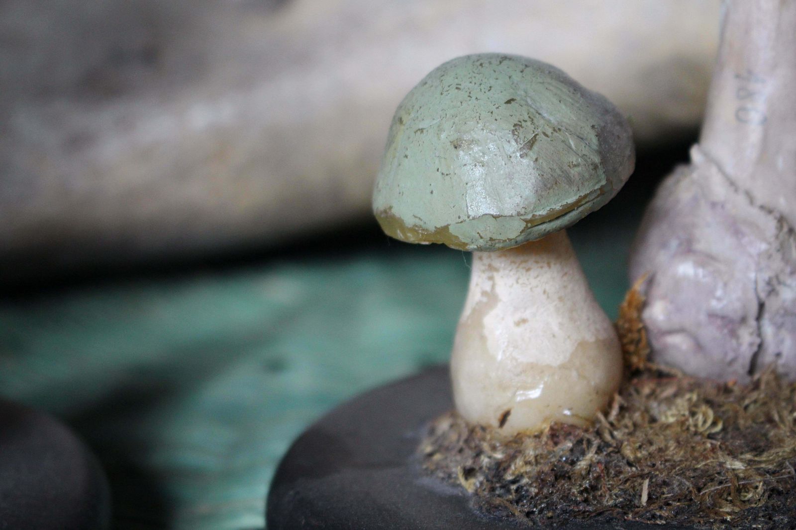 710.0 Early 20th Century Death Cap & Fly Agaric Model Fungi Natural History photo