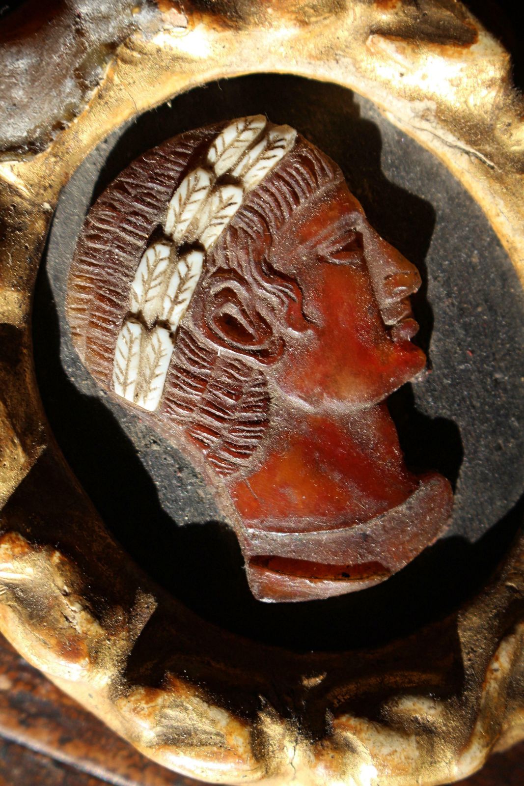 Grand Tour 18th Century Gilt Framed Classical Carved Shell Cameo "Dario Re' photo 915.0