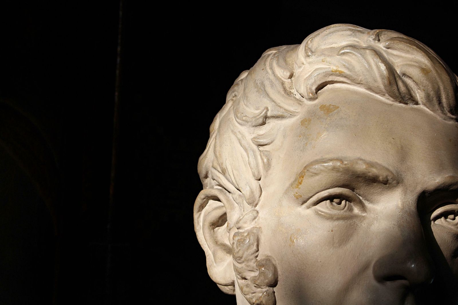 19thc Plaster Bust On Faux Porphyry Marble Column Of Architect Matthew Habershon photo buy