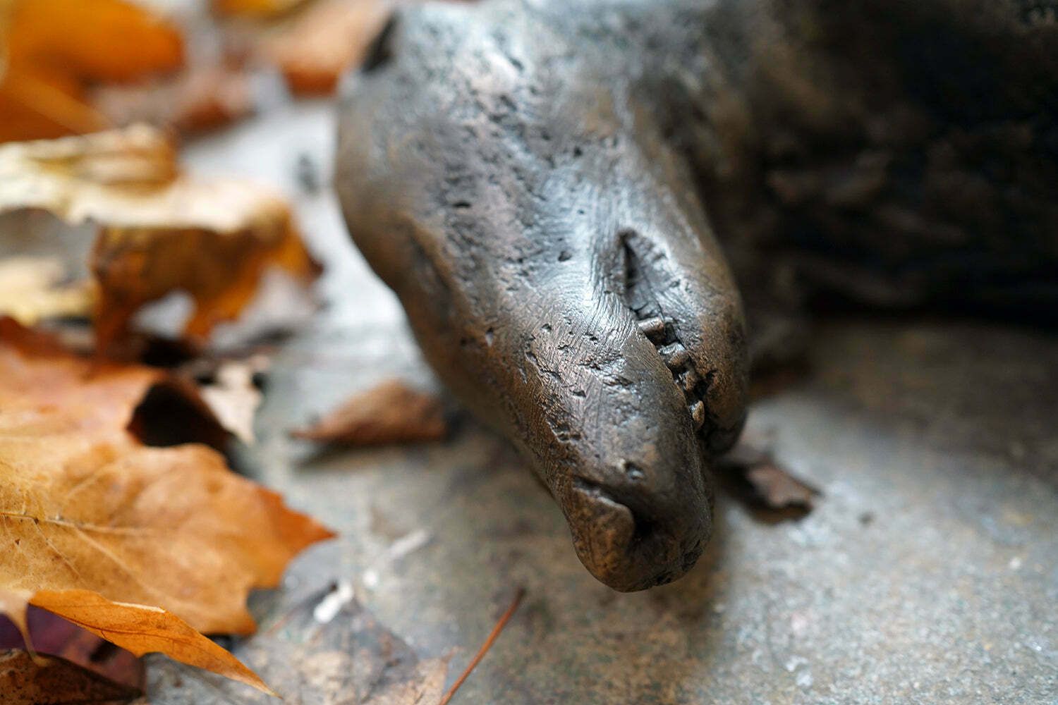 Beth Carter; Badger; Bronze Resin; 3/15 photo 3700.0