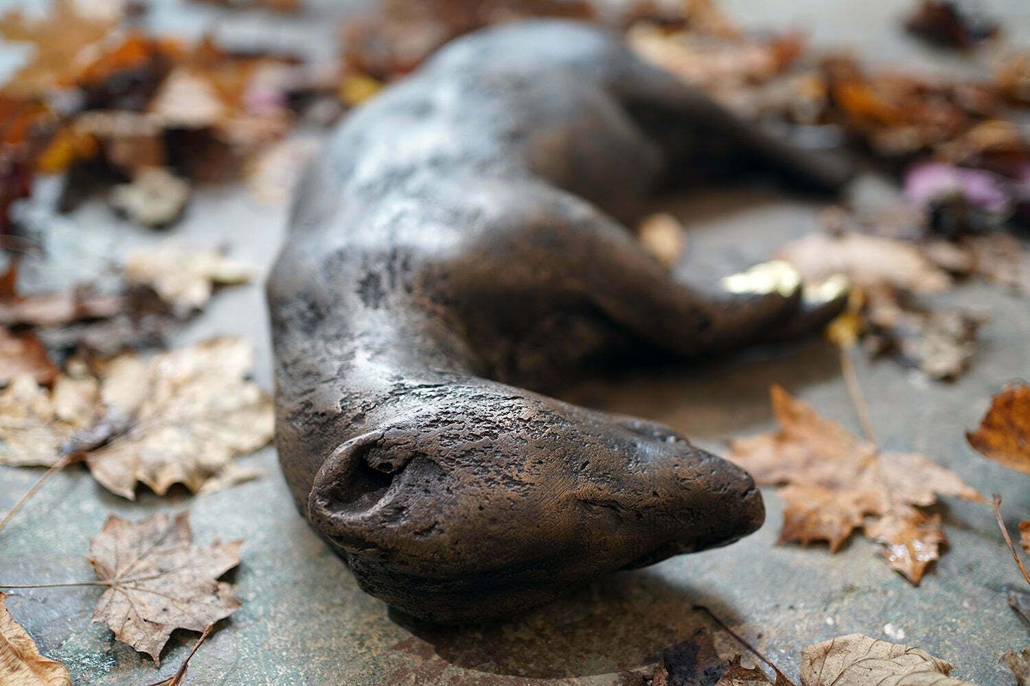 Beth Carter; Badger; Bronze Resin; 3/15 photo buy