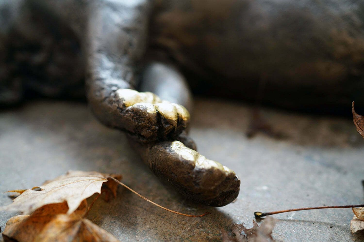 Art Beth Carter; Badger; Bronze Resin; 3/15 photo