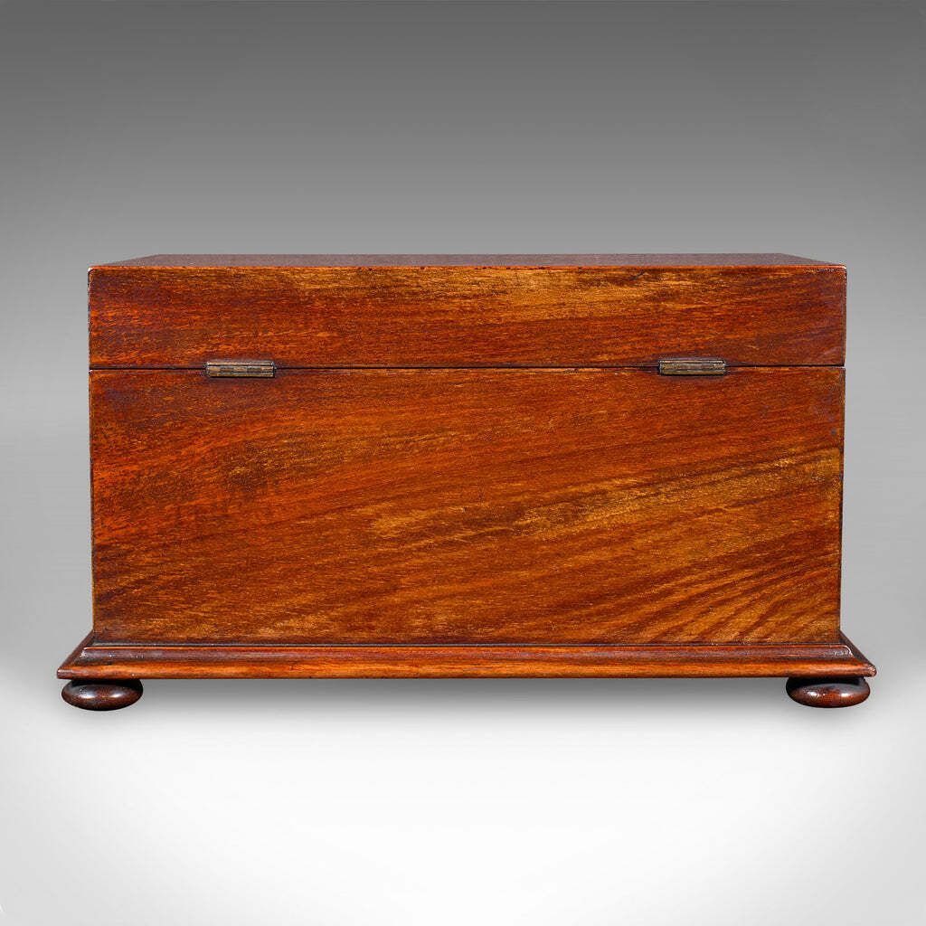 Antique Loose Tea Caddy, English, Dual Compartment Beverage Case, Regency, 1820 photo 895.0