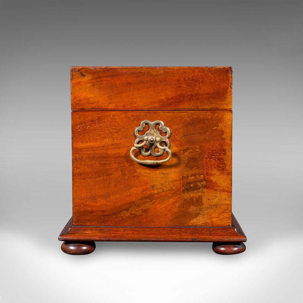 Antique Loose Tea Caddy, English, Dual Compartment Beverage Case, Regency, 1820 photo vinterior