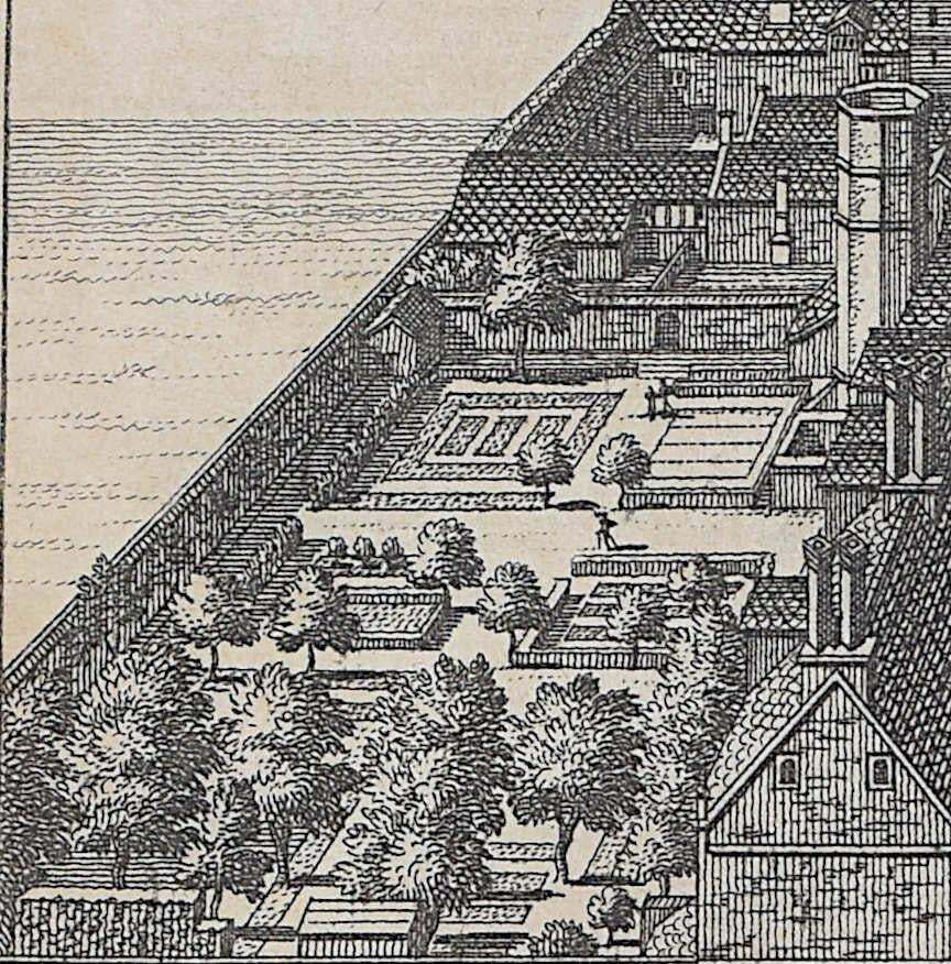 Pieter Van Der Aa, Gonville & Caius, Cambridge Engraving Pieter Van Der Aa After David Loggan 1727 photo Art