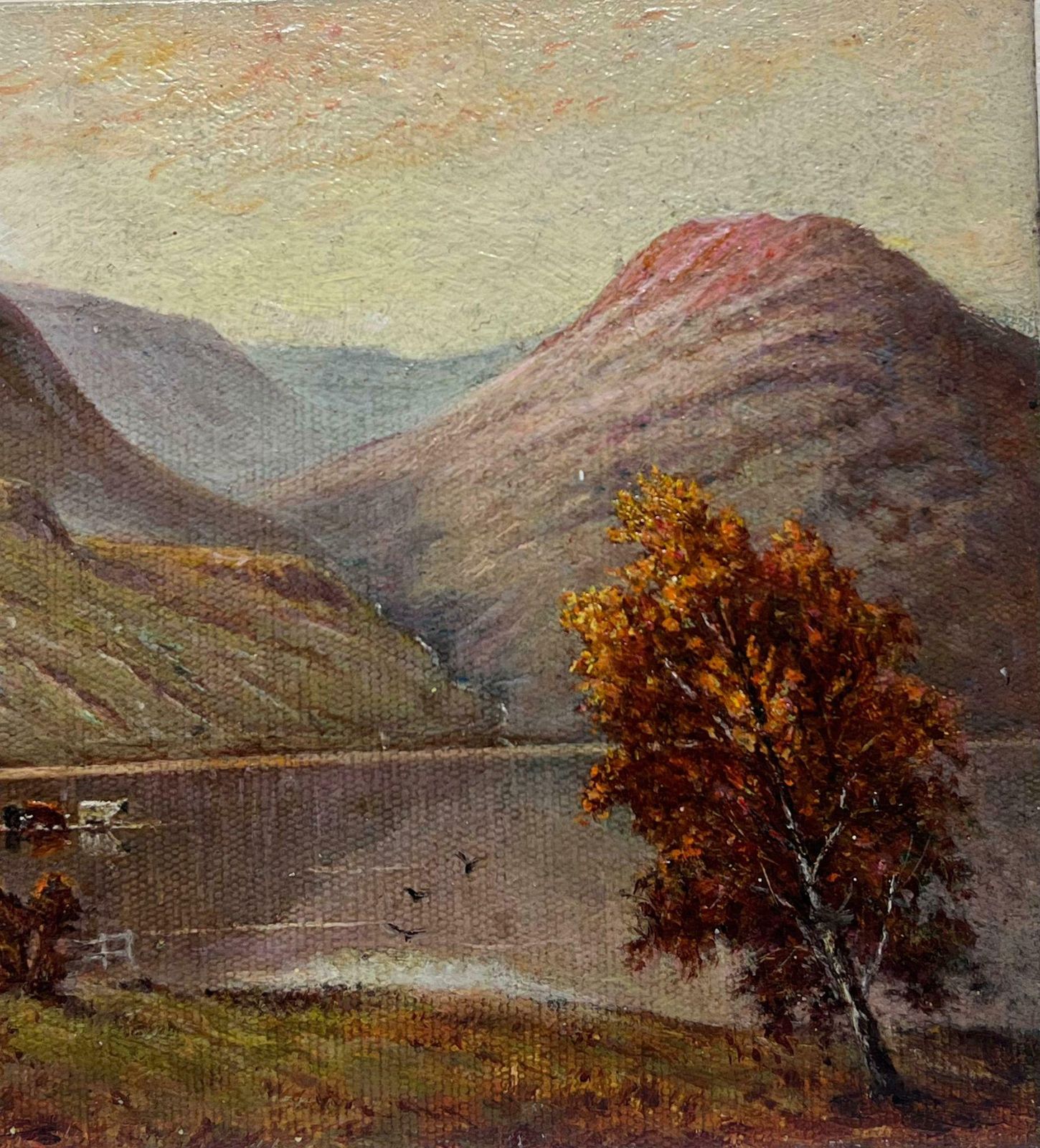 British Schoolsunset English Lake District Cattle Watering Waters Edge Signed Oil Painting photo Art