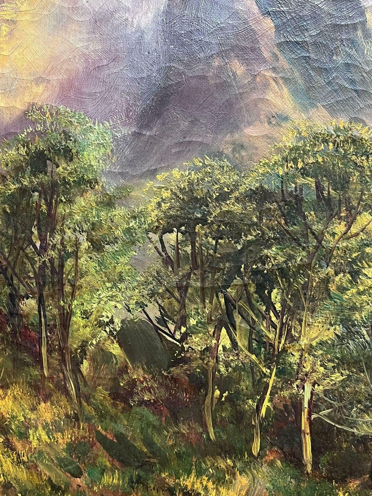 F. E. Jamiesonantique Scottish Highland Landscape Oil Painting Full Spate River In Mountains photo vinterior