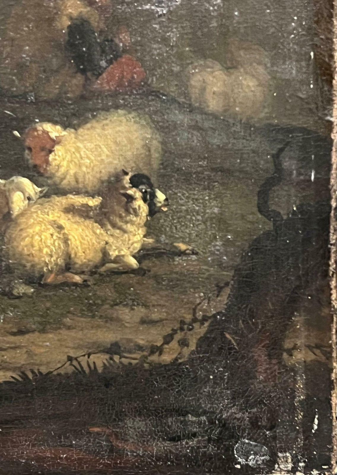 18th Dutch Old Masterfine 18th Century Dutch Old Master Oil Painting Cattle & Sheep Ancient Ruins photo for sale