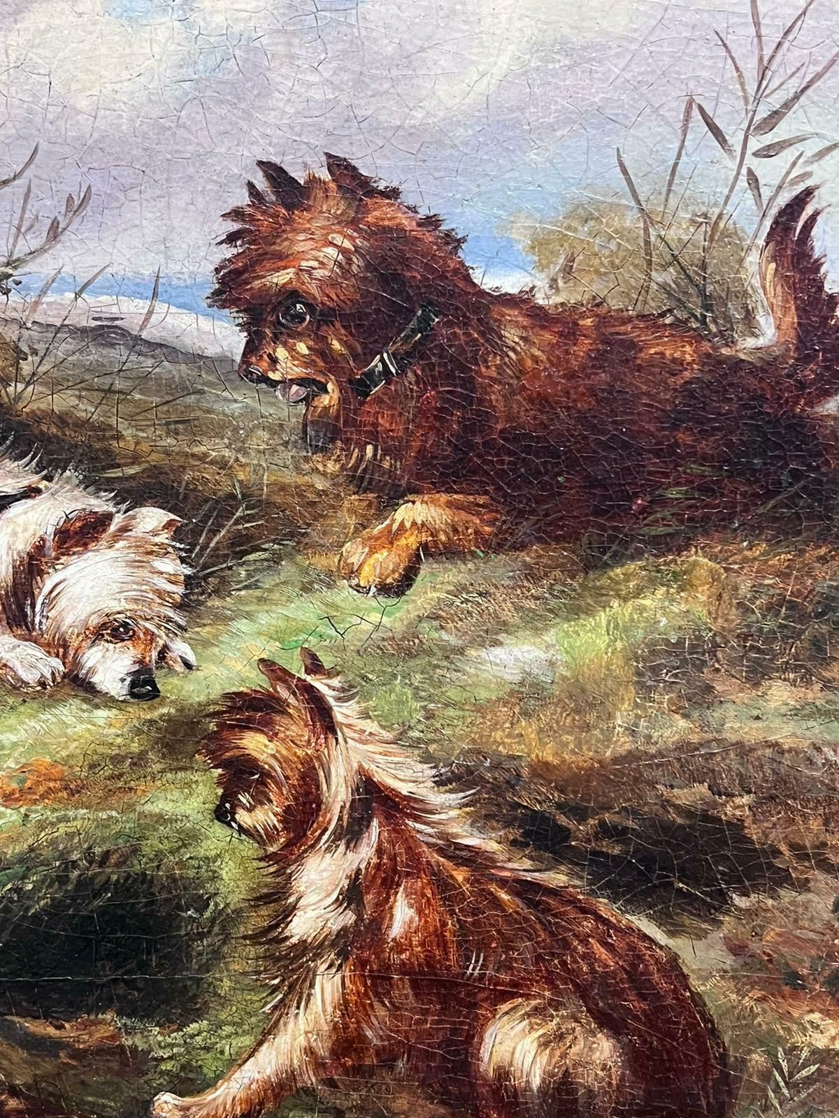 Fine Victorian English Oil Painting Three Terrier Dogs By Rabbit Hole Landscape photo buy
