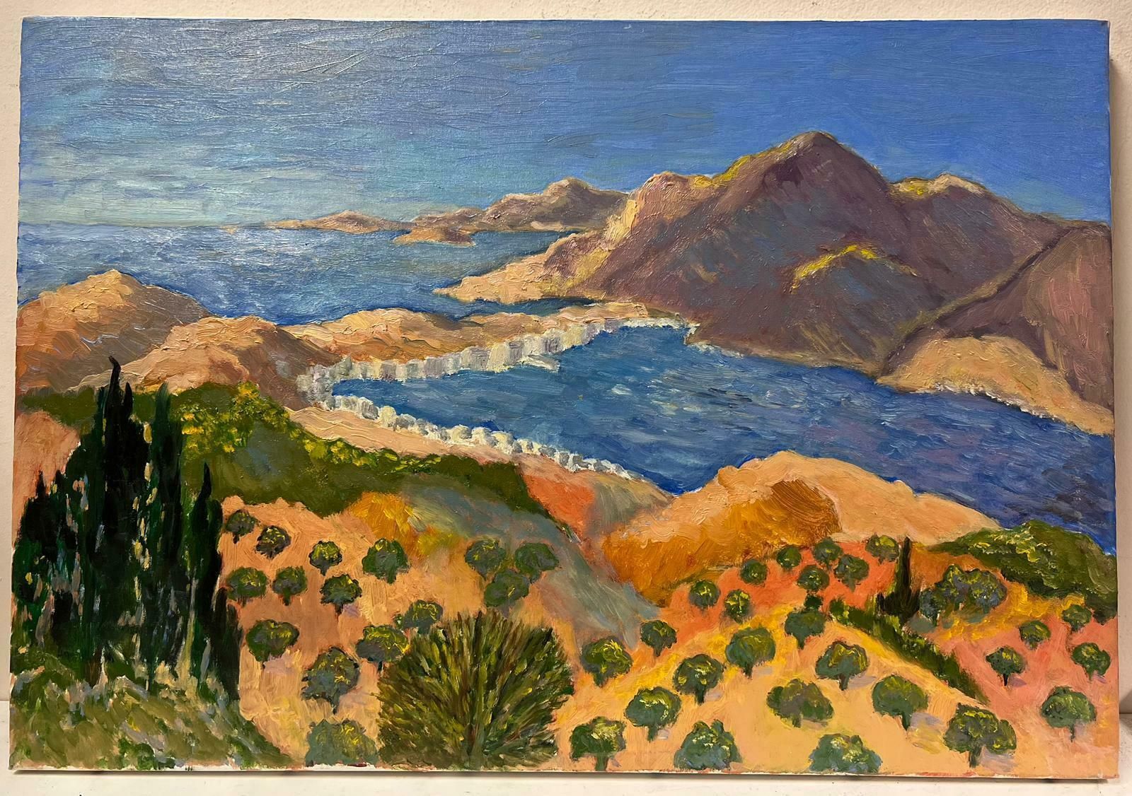 Georges Bordonovecontemporary French Impressionist Oil Olive Groves Mediterranean Sea photo furniture