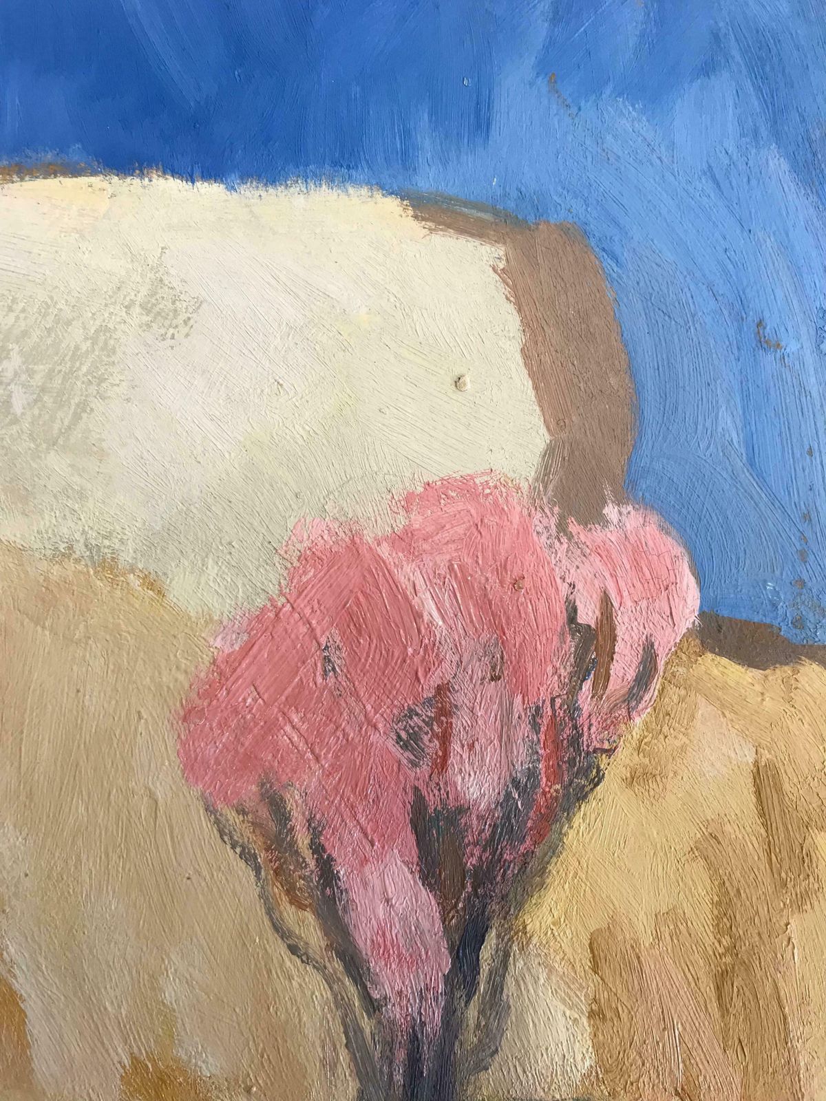 Elisabeth Hahn20th Century German Modernist Oil Painting   Pink Tree In Desert20th Century photo Art