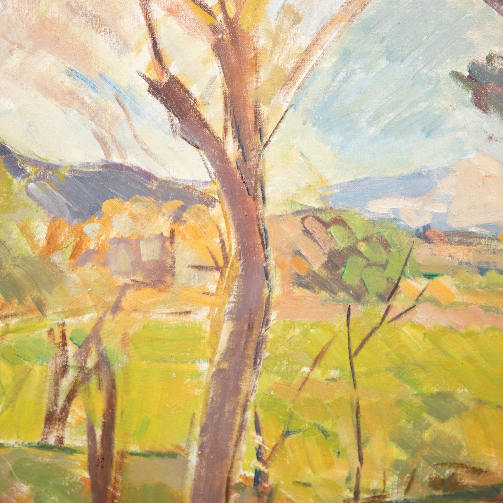 Bertrand Py (1895 1973) Mid 20th Century Oil, The Villa Garden photo 457.0