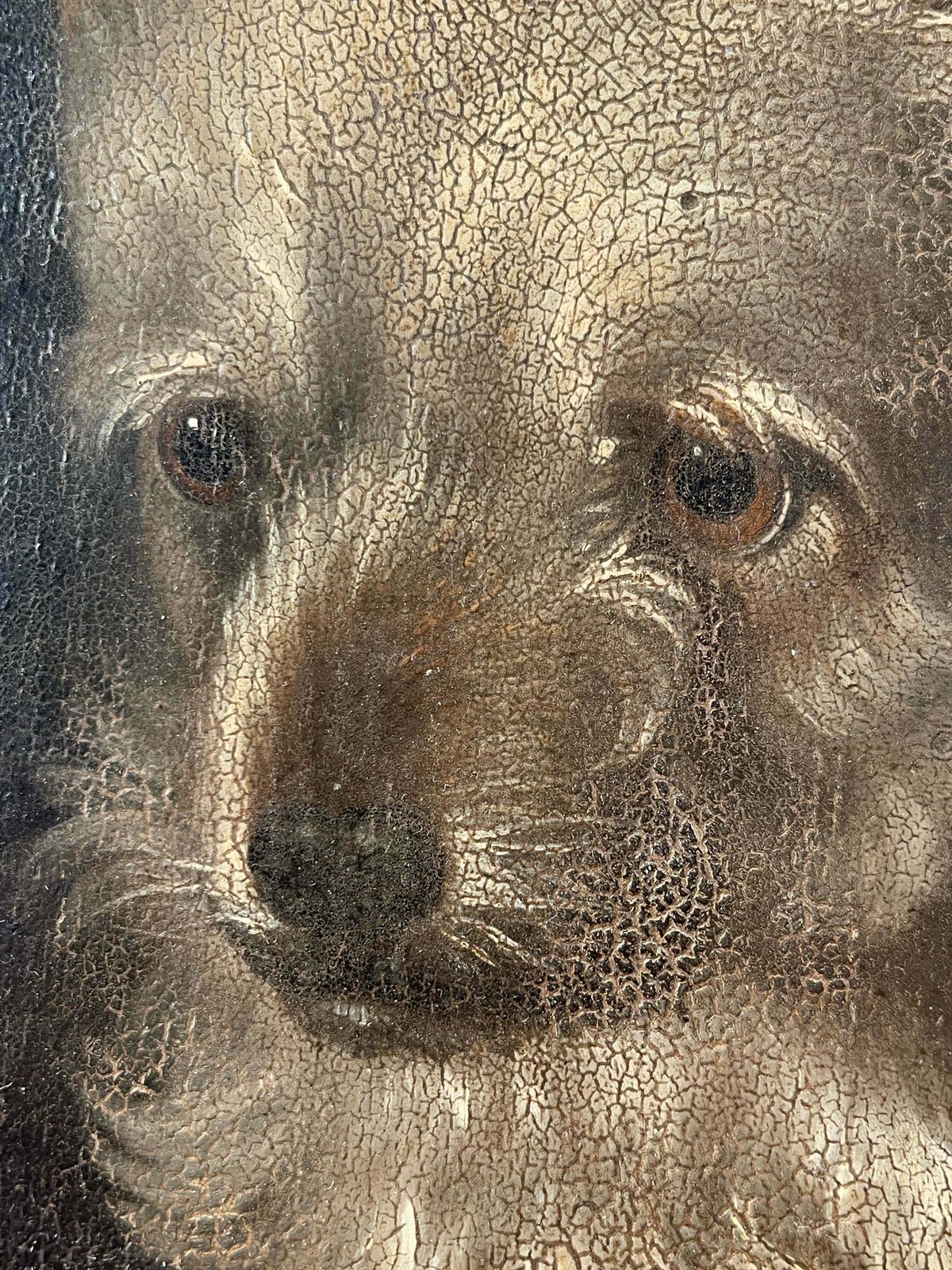 A Stunning & Rare Antique Georgian Oil On Panel Painting By Renowned Animal Painter William Barraud Depicting A Griffon Hunting Terrier/Dog All Origin photo for sale