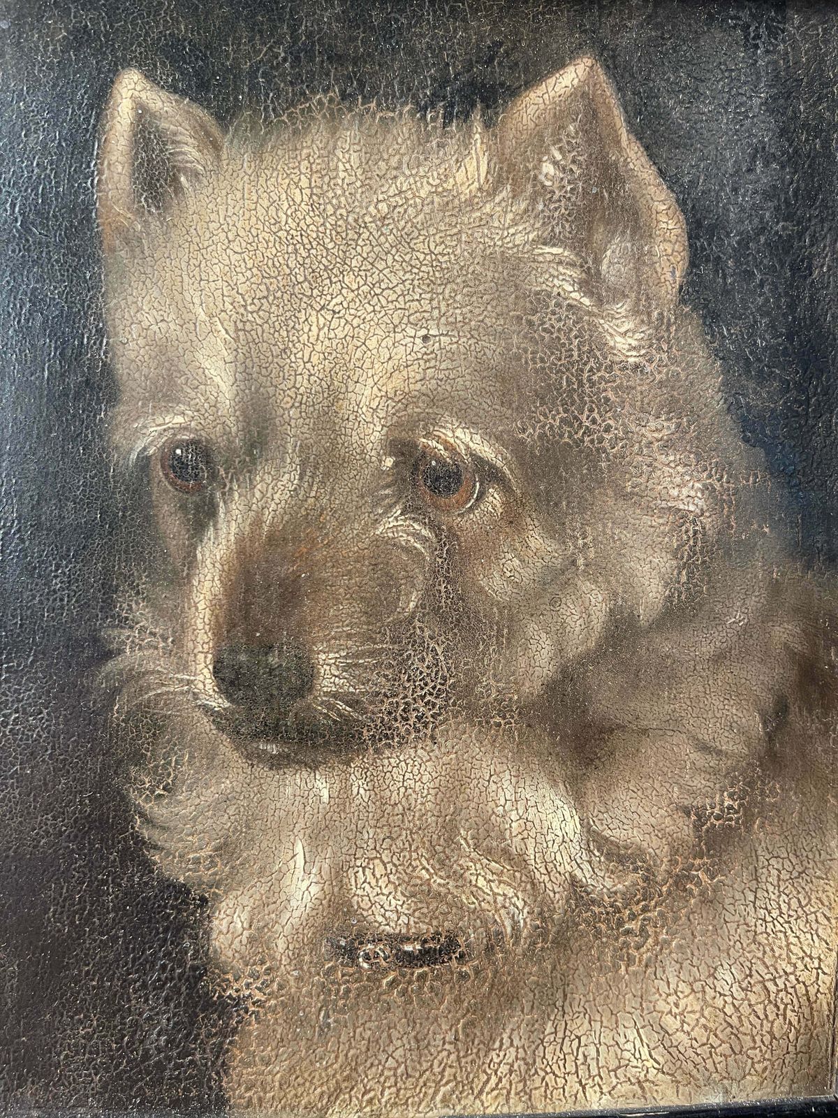A Stunning & Rare Antique Georgian Oil On Panel Painting By Renowned Animal Painter William Barraud Depicting A Griffon Hunting Terrier/Dog All Origin photo vinterior