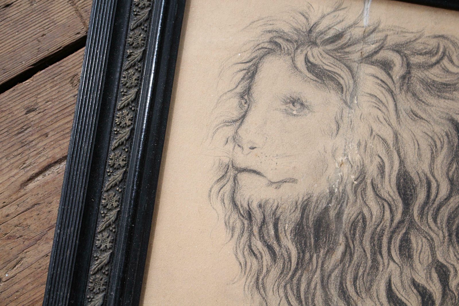 French Late 19th C Large Anthropomorphic Pencil Drawing Of Lion 1886 Taxidermy photo Art