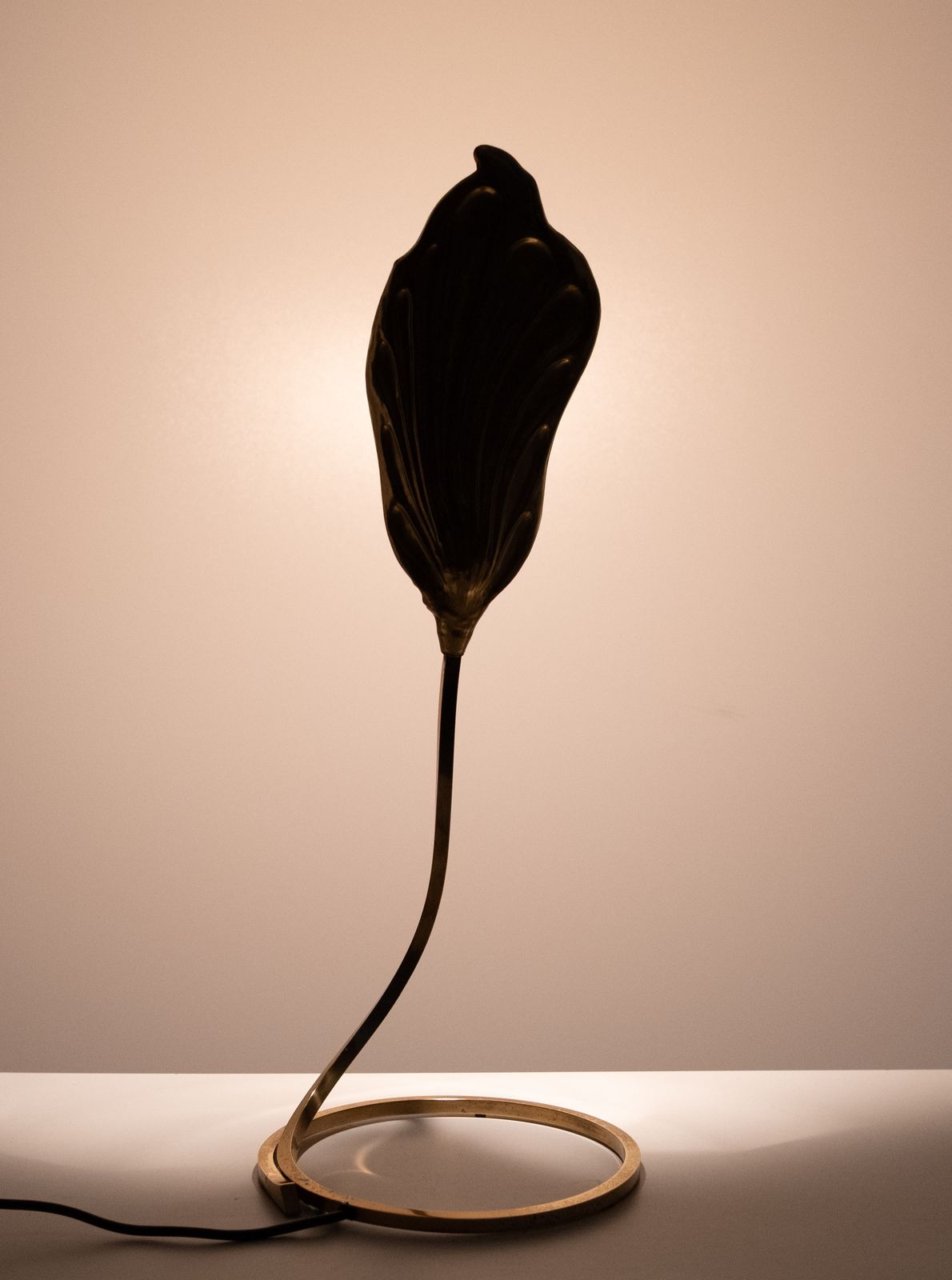 photo for sale Pair Brass Leaf Table Lamps Design By Carlo Giorgi & Tommaso Barbi 1970s